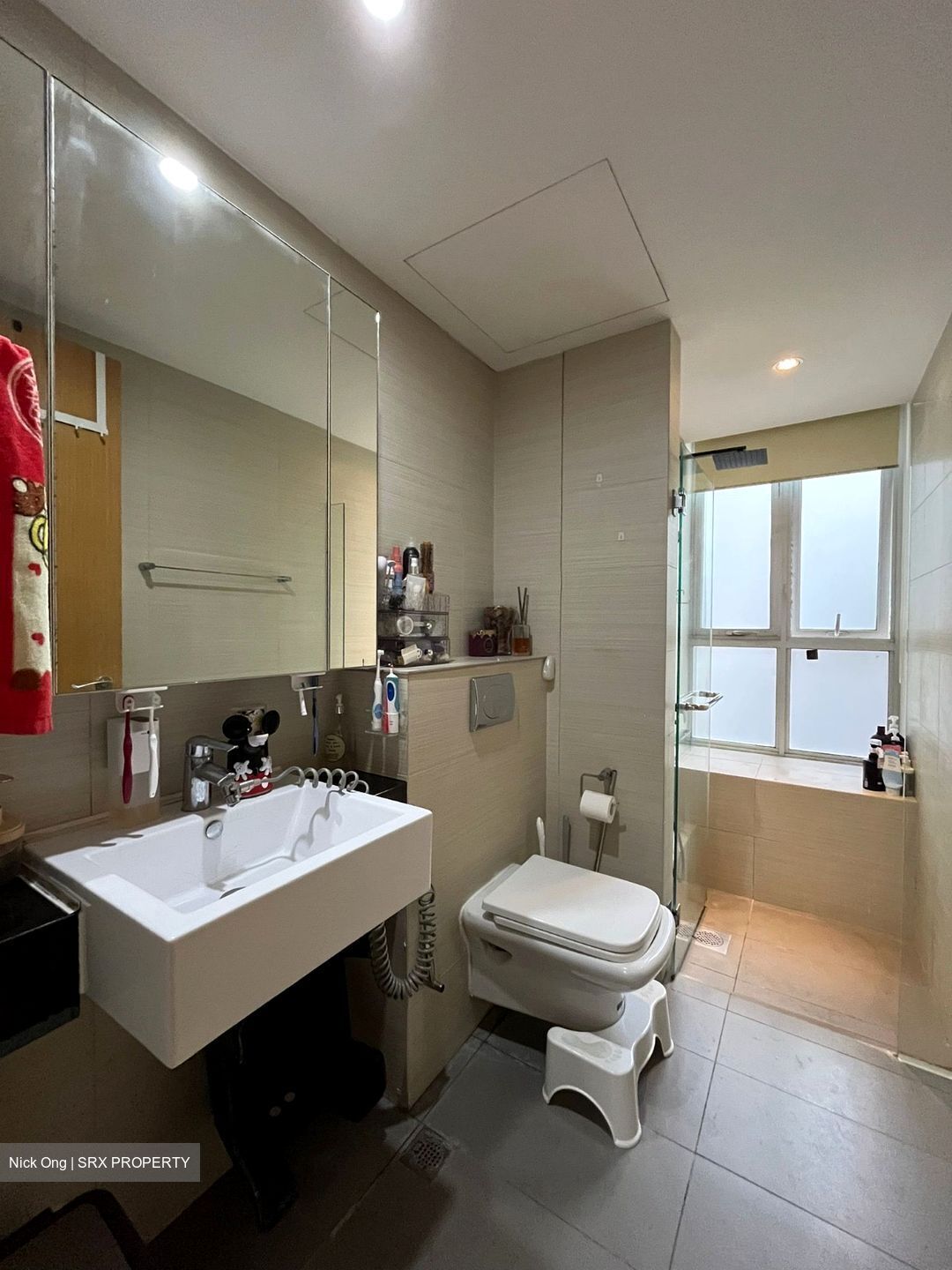 Oasis @ Elias (D18), Condominium #500525081